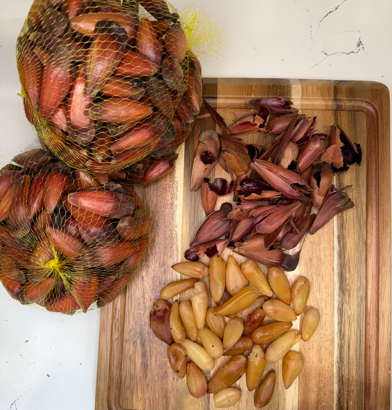 Pinhao na Casca Fresco e Natural 1lb (454gr)