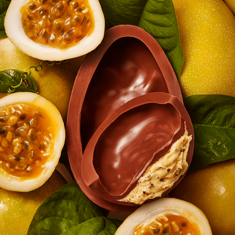 Brazil Cocoa Passion Fruit Easter Egg 400g 