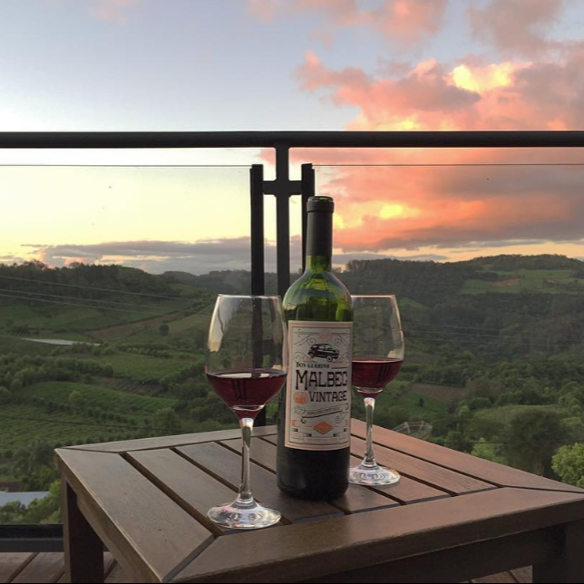 Don Guerino Malbec Vintage 750ml