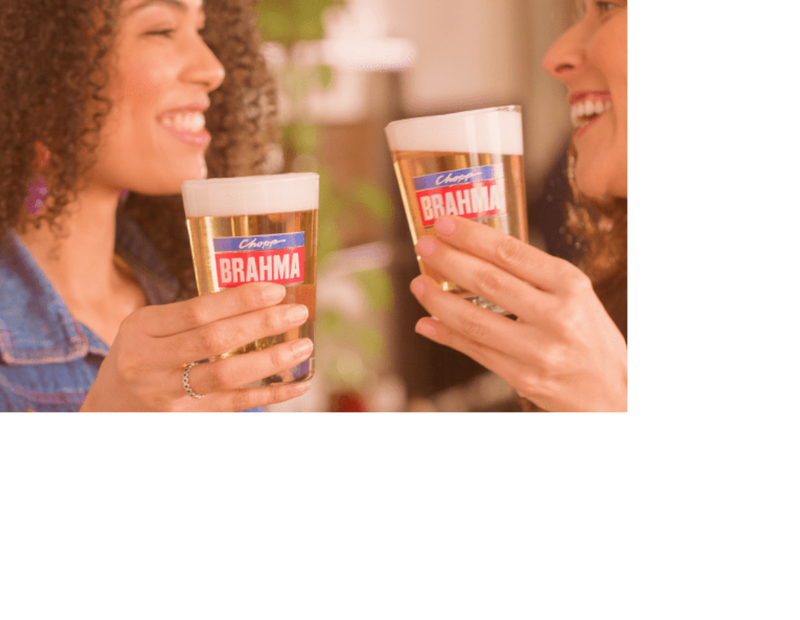 Brahma Chopp Pilsen Long Neck 6 bottles of 355ml each 