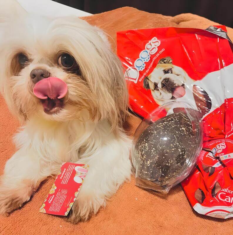 Doogs Ovo de Páscoa Sabor Churrasco 200g