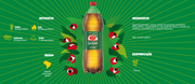 Antarctica Brazilian Guarana Soda 67.6 fl. oz - Guarana 2L - Hi Brazil Market