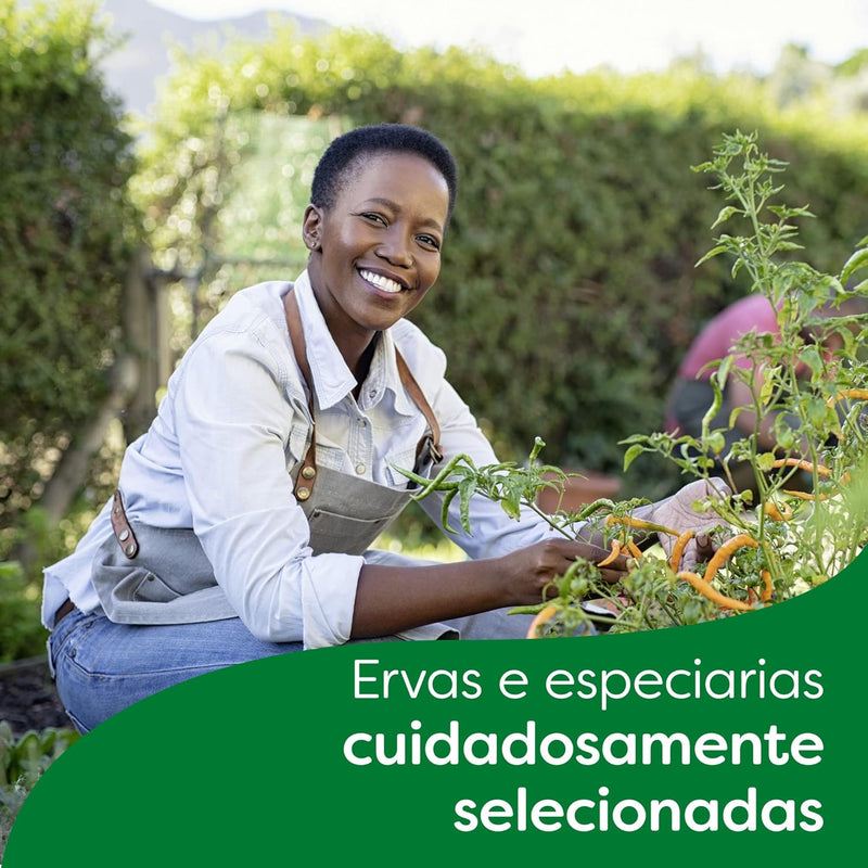 Knorr Caldo de Galinha Sem Sal