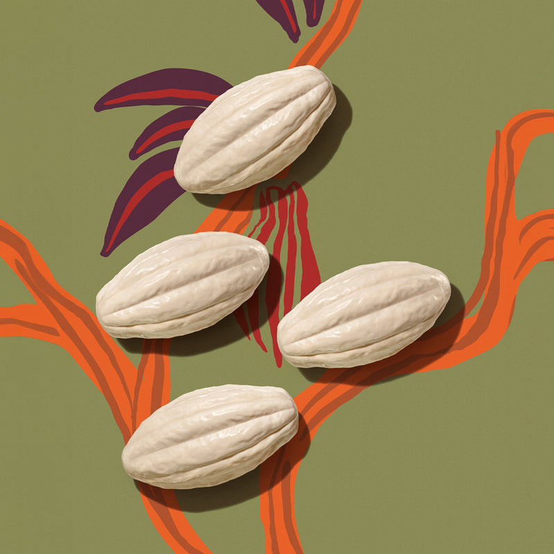 Natura Ekos Sabonete Cacau 4unid