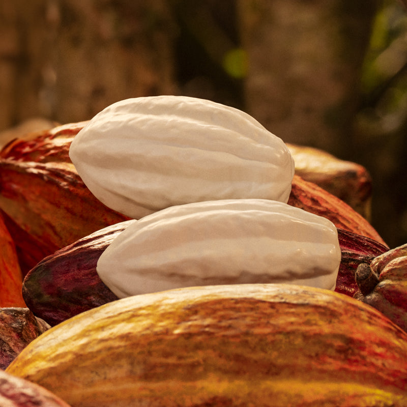 Natura Ekos Sabonete Cacau 4unid