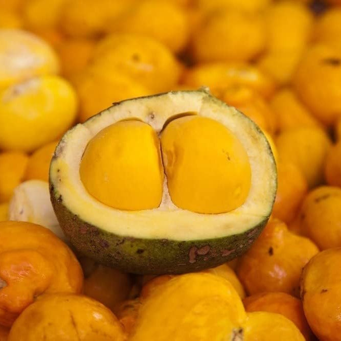 Sabor Mineiro Pequi com Caroco em Conserva 480g - Hi Brazil Market