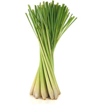 doTerra Oleo de Campim Cidreira - Lemongrass Oil 15ml - Hi Brazil Market