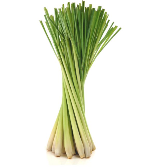 doTerra Oleo de Campim Cidreira - Lemongrass Oil 15ml - Hi Brazil Market