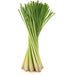 doTerra Oleo de Campim Cidreira - Lemongrass Oil 15ml - Hi Brazil Market