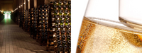 Casa Valduga Espumante Brut 130 Blanc de Blanc Edicao Especial - Hi Brazil Market