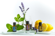 doTerra Introductory Kit - Lavanda - Limao - Menta 5ml cada - Hi Brazil Market