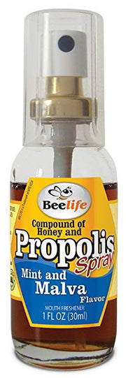 Beelife Spray Propolis - Flavored Propolis Spray 1fl oz (30ml) - Hi Brazil Market