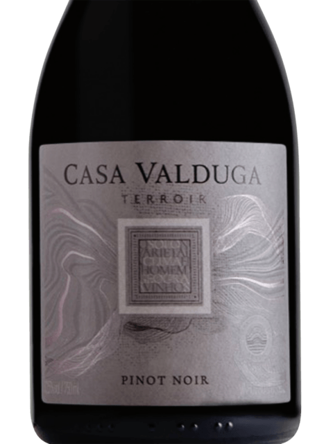 Casa Valduga Terroir Pinot Noir - Hi Brazil Market