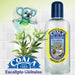Coala Eucalipto Globulos Limpador Perfumado Concentrado 120ml - Concentrated Eucalyptus Scented Cleanser - Hi Brazil Market