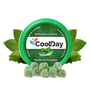 Valda CoolDay Hortela e Eucalipto - Menthol and Eucalyptol - Hi Brazil Market
