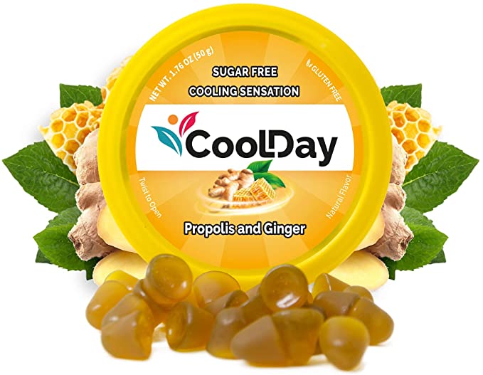 Valda CoolDay Hortela e Eucalipto - Menthol and Eucalyptol - Hi Brazil Market