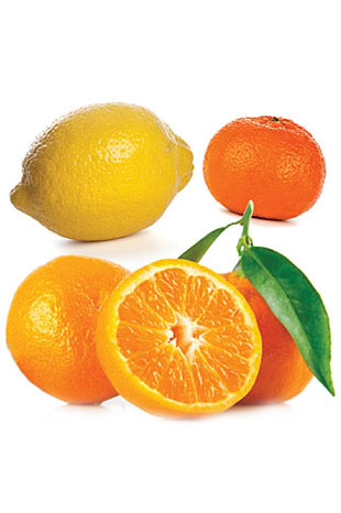 doTerra Oleo Citrus Bliss - Invigorating Blend Oil Citrus Bliss 15ml - Hi Brazil Market