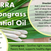 doTerra Oleo de Campim Cidreira - Lemongrass Oil 15ml - Hi Brazil Market