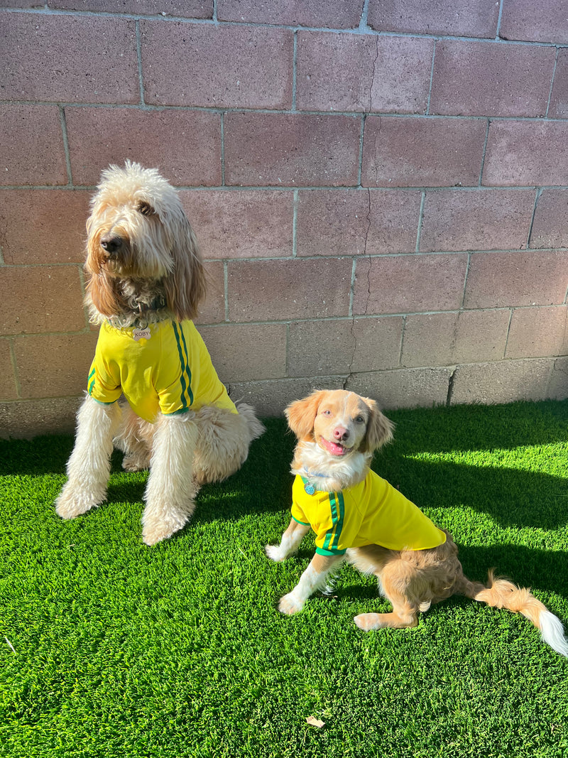 Brasil Roupa para Cachorro - Brazil Body for Dog - Hi Brazil Market