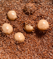 Guittard Chocolate Granulado - Sprinkles Chocolate - Hi Brazil Market