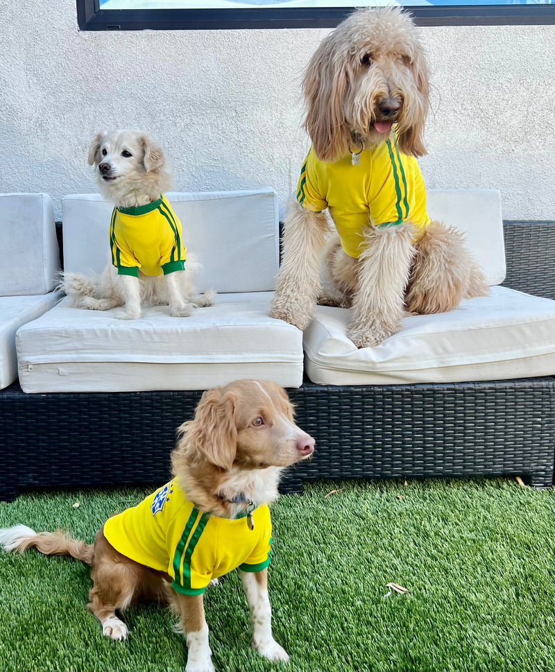 Brasil Roupa para Cachorro - Brazil Body for Dog - Hi Brazil Market
