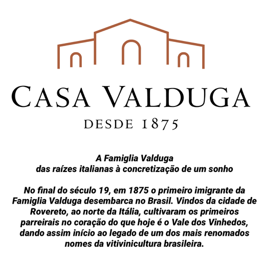Casa Valduga Origem Cabernet Sauvignon Elegance - Hi Brazil Market