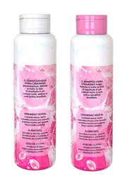 Salon Line Kit Hidra Ceramidas 300ml - Hi Brazil Market