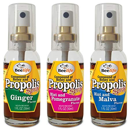 Beelife Spray Propolis - Flavored Propolis Spray 1fl oz (30ml) - Hi Brazil Market